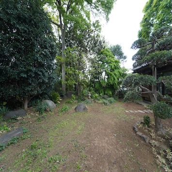 庭
